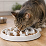 Why Choose a Slow Feeder Plate for Cats
