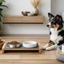 Stylish Pet Feeding Station Ideas for Modern Homes
