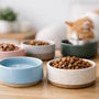 Ceramic Pet Bowls UK Buyers Actually Want