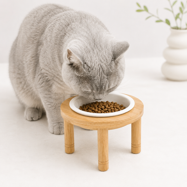 Ceramic Pet Bowl with Bamboo Stand
