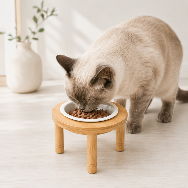 Ceramic Pet Bowl with Bamboo Stand