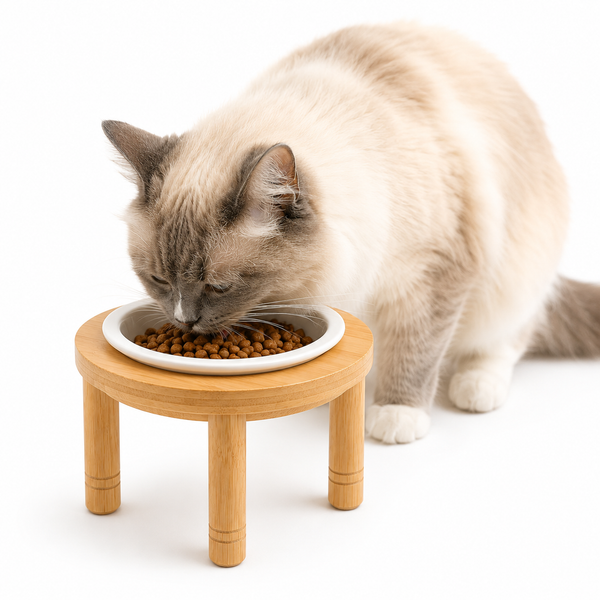 Ceramic Pet Bowl with Bamboo Stand