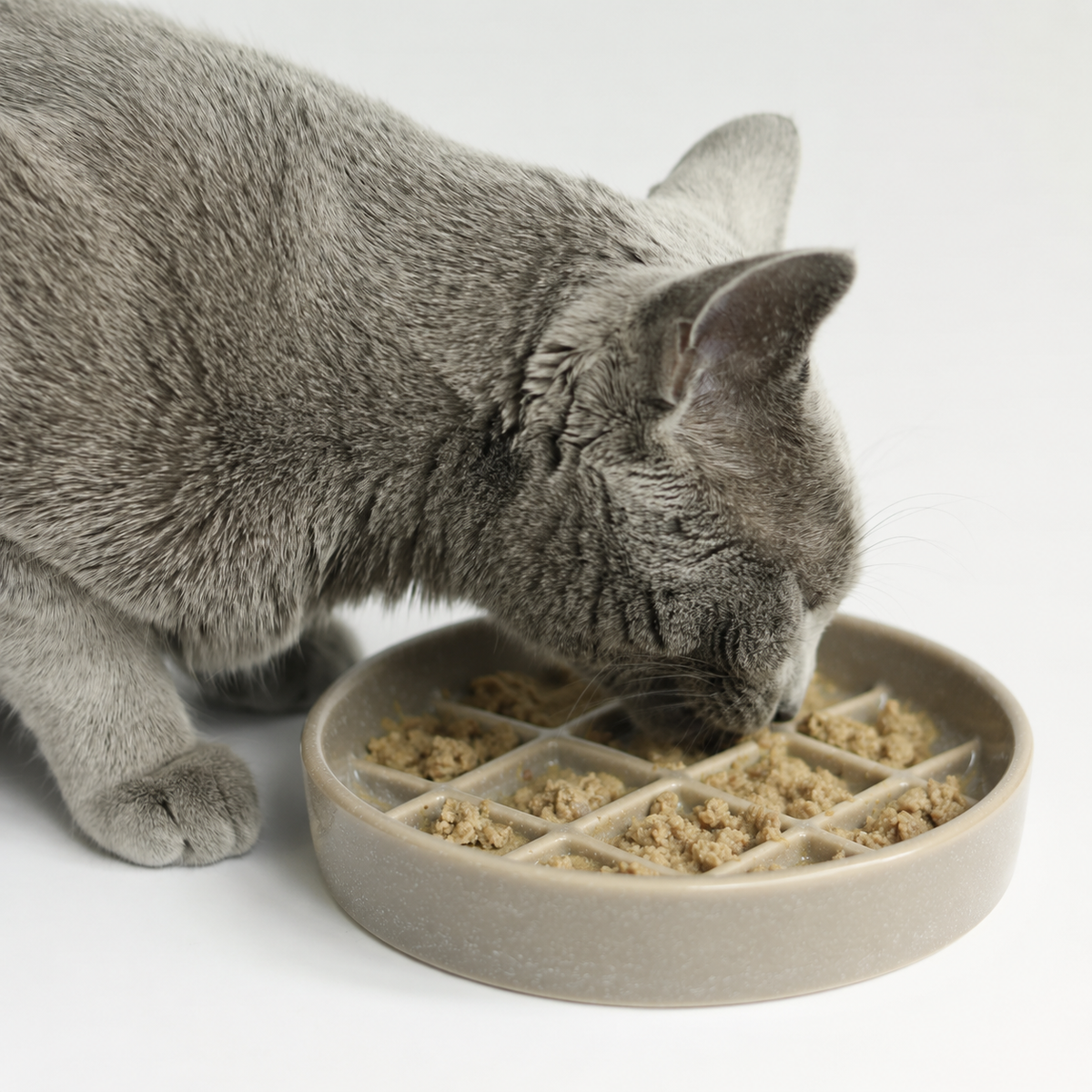 Ceramic Slow Feeder Pet Plate