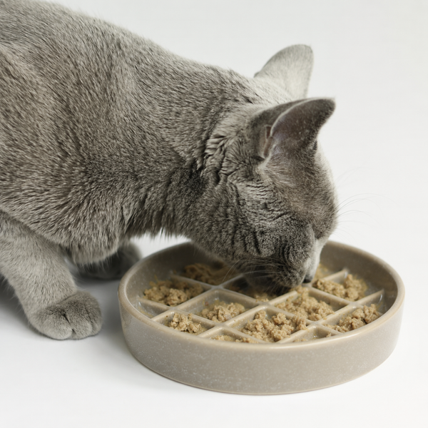 Ceramic Slow Feeder Pet Plate