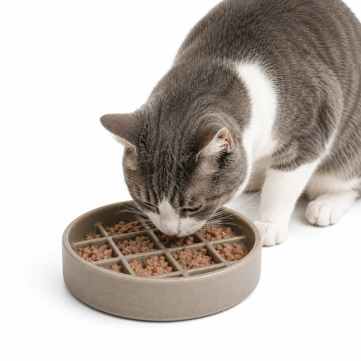 Ceramic Slow Feeder Pet Plate